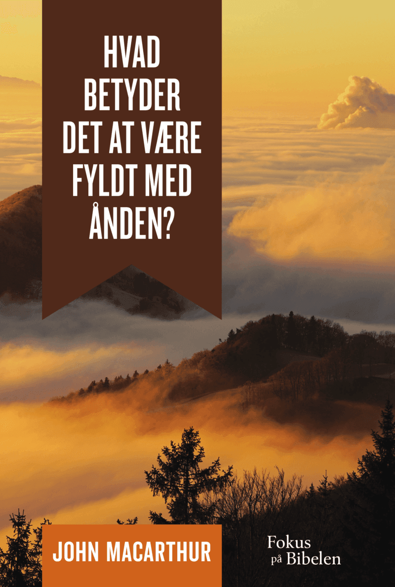 Hvad betyder det at v re fyldt med nden nordichope press