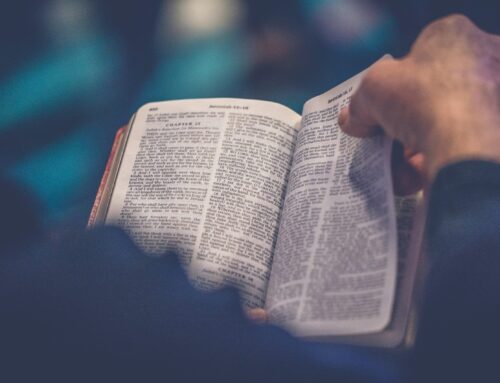 Profetiske argumenter for Bibelens troværdighed