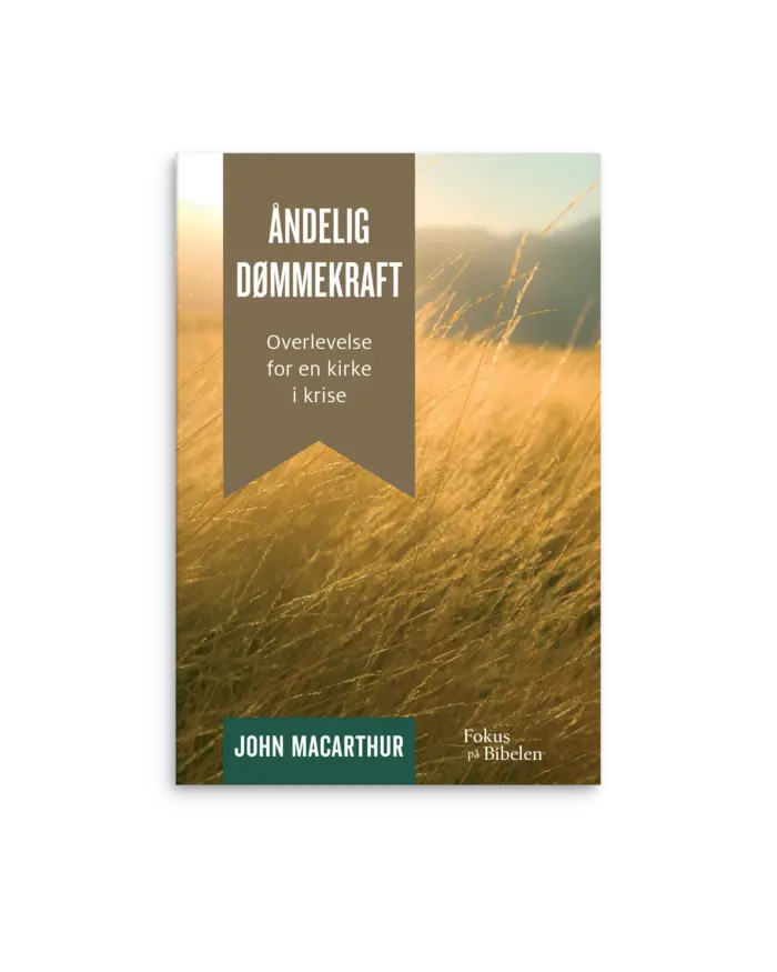 Åndelig dømmekraft: Overlevelse for en kirke i krise